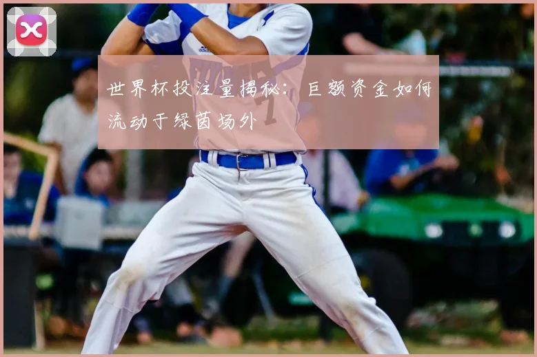 世界杯投注量揭秘:巨额资金如何流动于绿茵场外