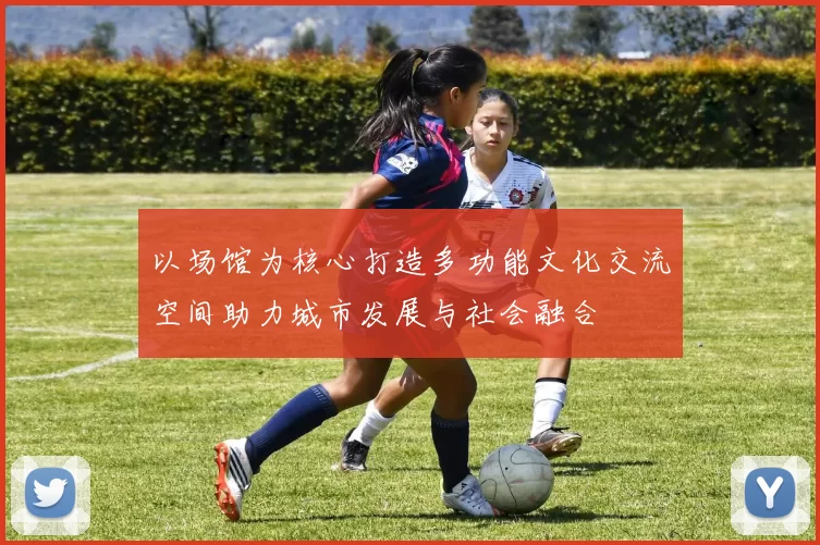 以场馆为核心打造多功能文化交流空间助力城市发展与社会融合