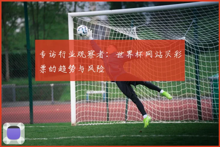 专访行业观察者:世界杯网站买彩票的趋势与风险