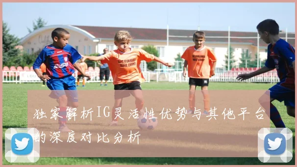 独家解析IG灵活性优势与其他平台的深度对比分析