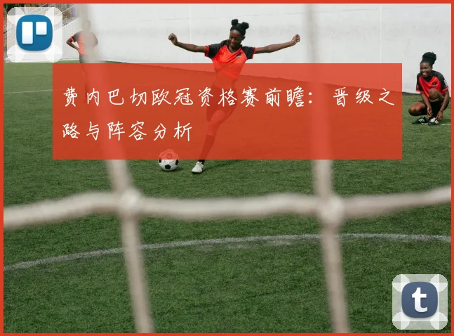 费内巴切欧冠资格赛前瞻：晋级之路与阵容分析